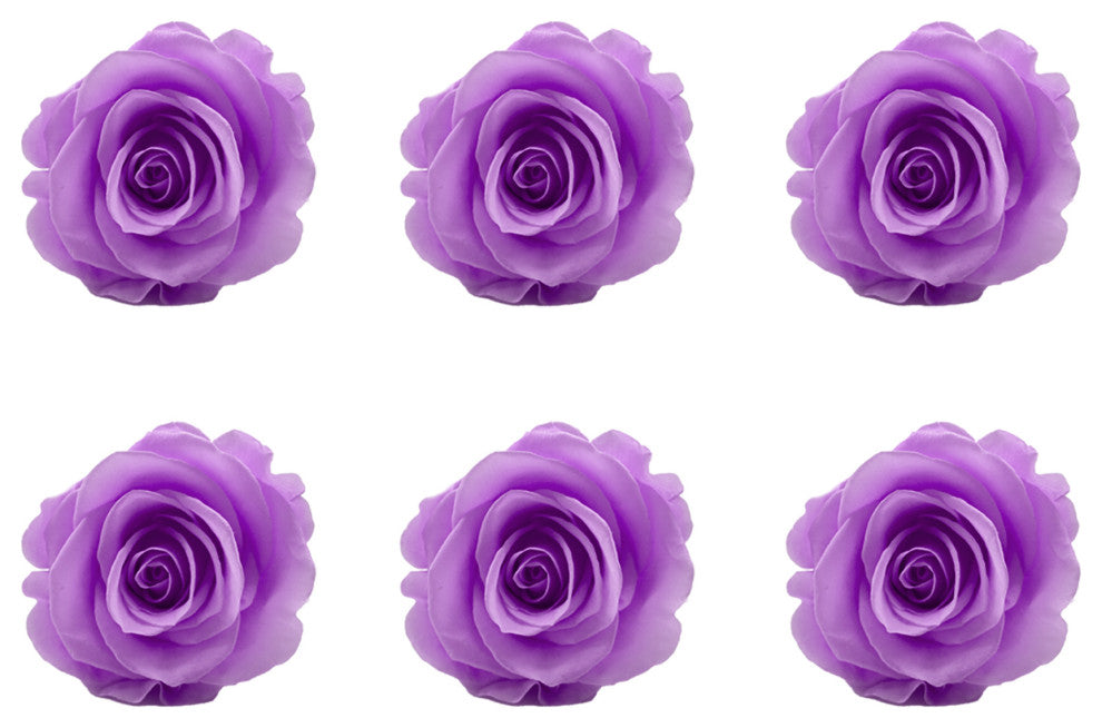 Large Preserved Roses, Set of 6, Baby Lili