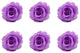 Large Preserved Roses, Set of 6, Baby Lili