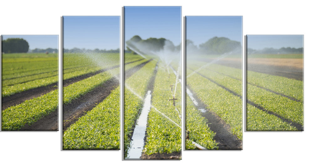 Beautiful View of Crops Watering, Landscape Canvas Art Print, 60"x32", 5 Panels
