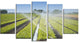 Beautiful View of Crops Watering, Landscape Canvas Art Print, 60"x32", 5 Panels
