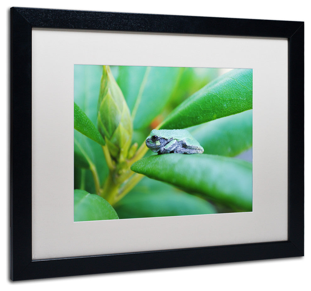 ''Balance'' Matted Framed Canvas Art by Monica Mize
