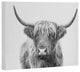Sisi and Seb Highland Bull Art Canvas