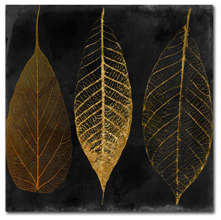 Color Bakery 'Fallen Gold I' Canvas Art, 18x18