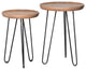 Kenroy 47026WDGBL End Table Set of 2, Newcastle