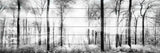 "White Light Forest" Painting Print on White Wood, 45x15
