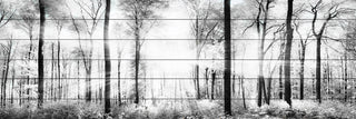 "White Light Forest" Painting Print on White Wood, 45x15