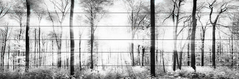 "White Light Forest" Painting Print on White Wood, 45x15