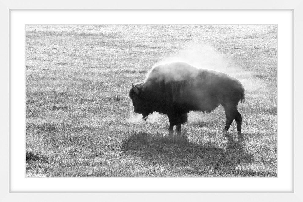 Marmont Hill, "Lone Buffalo" Framed Painting Print, 36x24