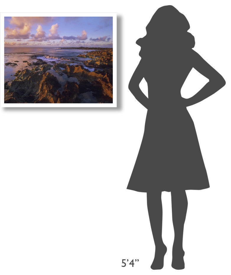"Dusk at Shark's Cove, Oahu, Hawaii" Paper Print by Tim Fitzharris, 30"x24"