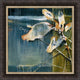 "Life From The Sea I" By Terri Burris, Framed Wall Art, Ready to Hang