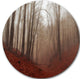 Red Leaves In Foggy Fall Forest, Landscape Photo Round Wall Art, 23"