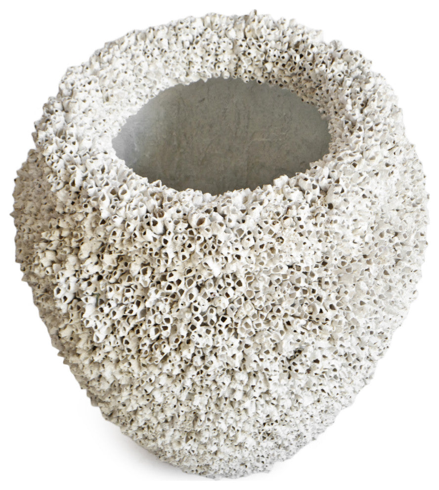 Large White Barnacle Shell Urn