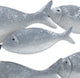 Metallic School of Fish Wall Decor Art