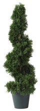 2' Cedar Spiral Silk Tree, In Door and Out Door