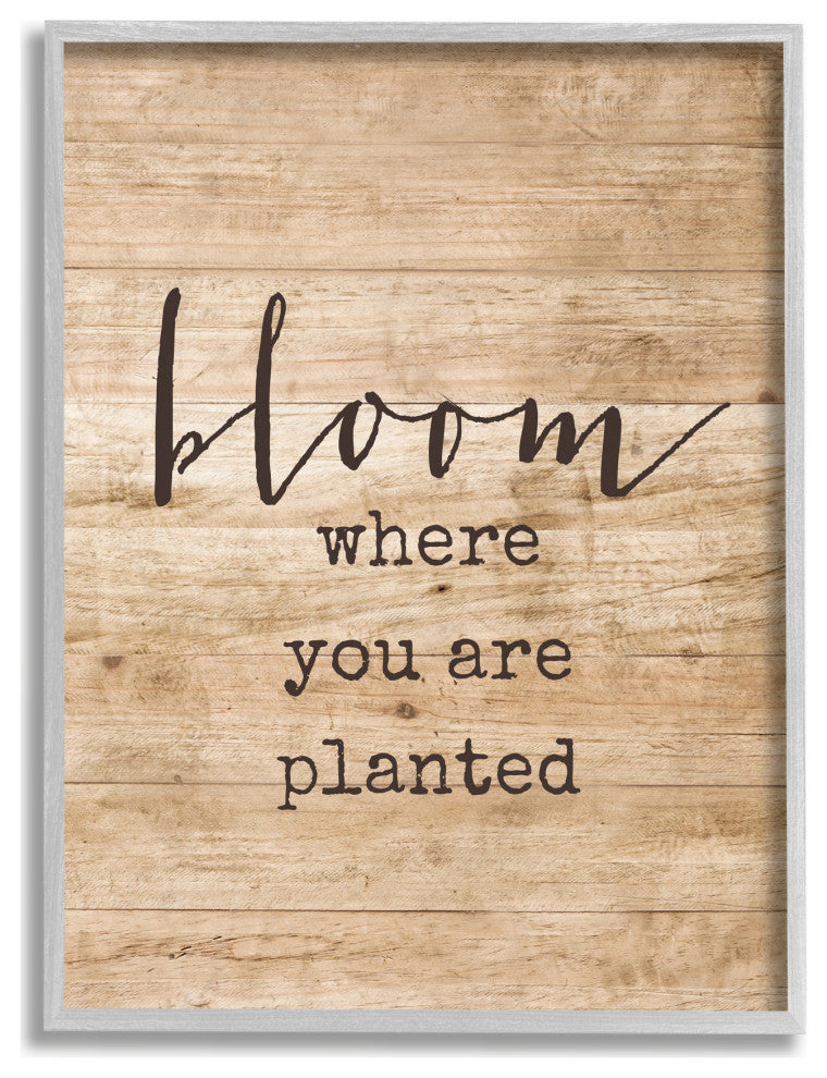 Stupell Industries Bloom Where You're Planted, 16 x 20