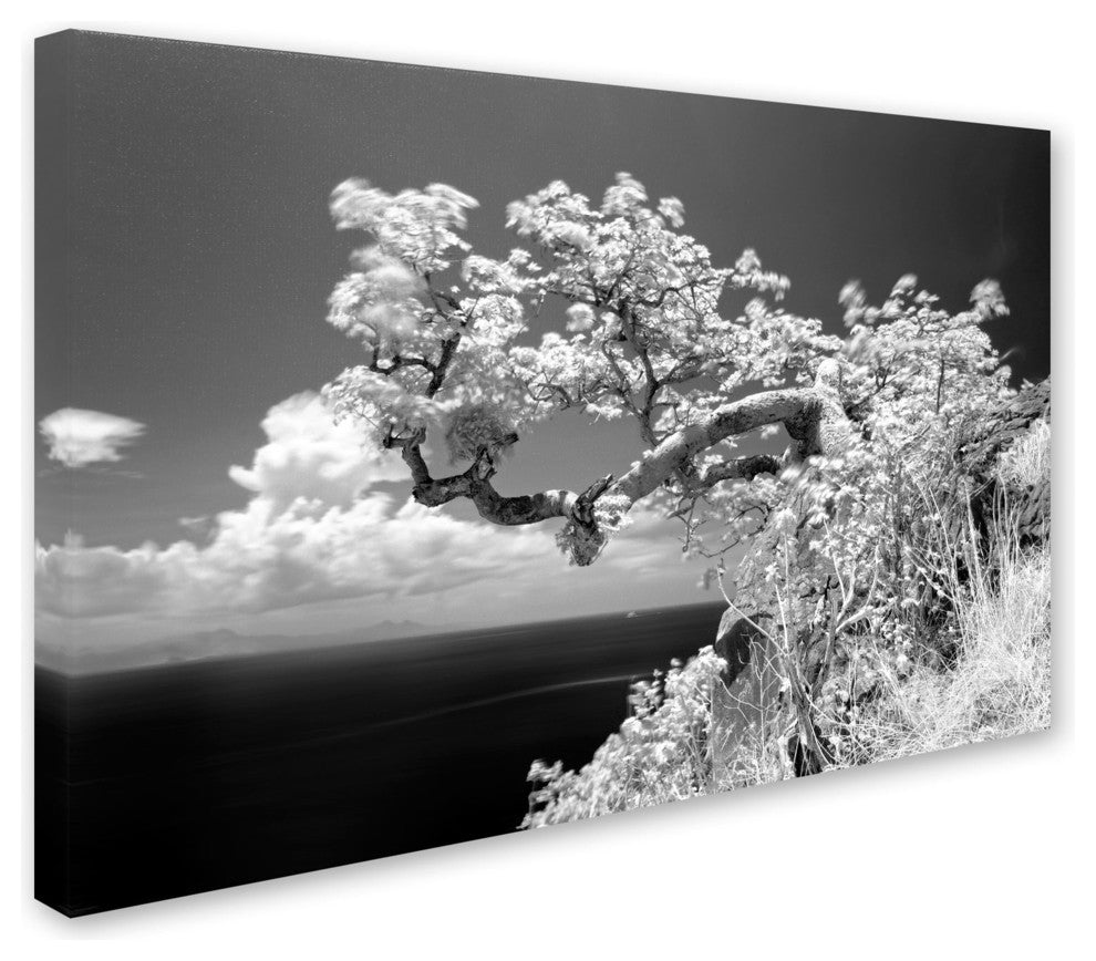 'Intimate' Canvas Art by Michael de Guzman