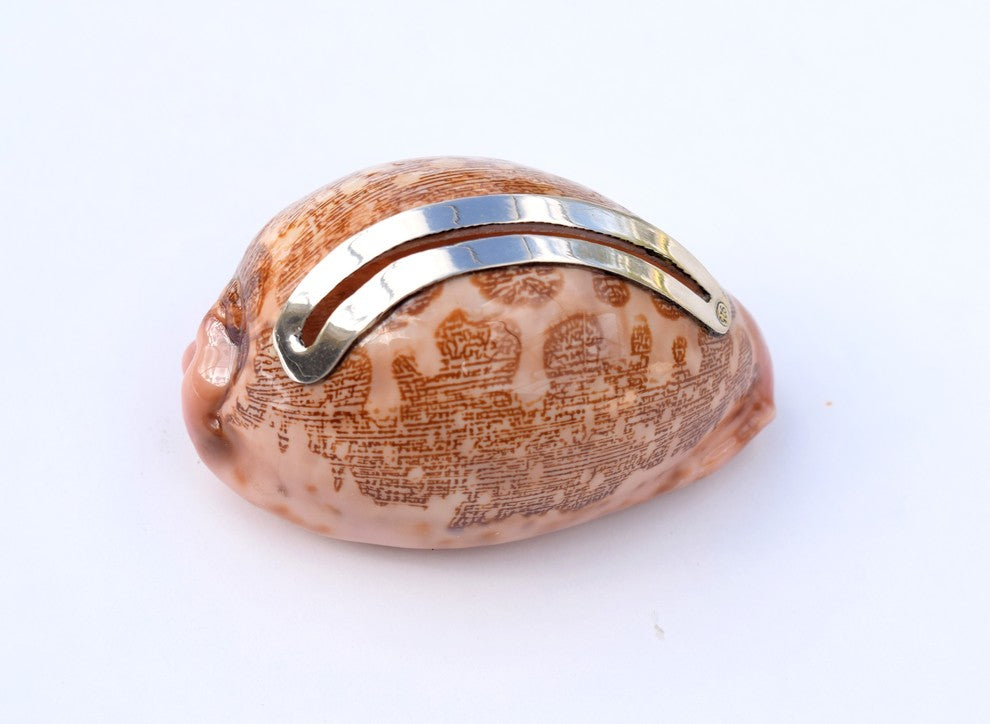 Mappa Shell Place Card Holder with Sterling Silver Insert