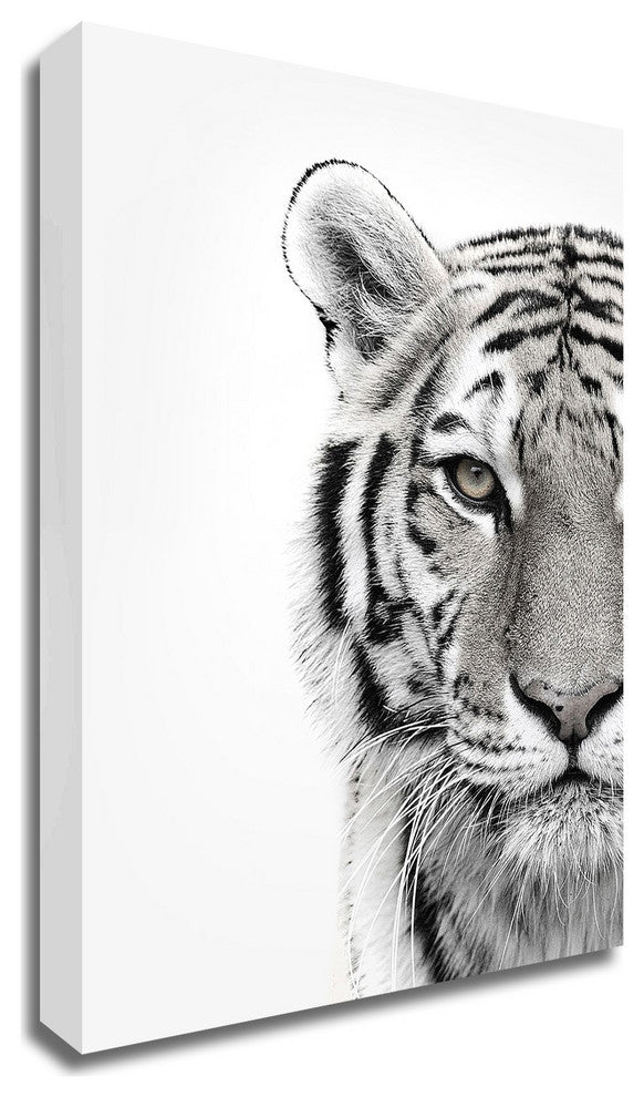 White Tiger by Design Fabrikken, Print on Canvas, 25"x35"