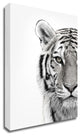 White Tiger by Design Fabrikken, Print on Canvas, 25"x35"