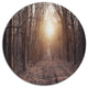 Forest Pathway View At Sunset, Modern Forest Disc Metal Wall Art, 11"