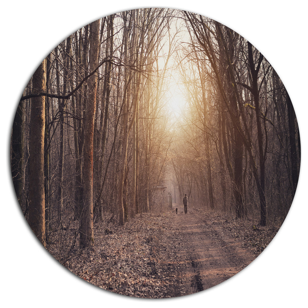 Forest Pathway View At Sunset, Modern Forest Disc Metal Wall Art, 11"