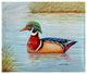 Betsy Drake Male Wood Duck Fleece Throw