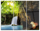 "Tiger Watching Waterfall" Photography Metal Wall Art, 3 Panels, 36"x28"