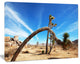 Curved Joshua Tree in Desert, Landscape Wall Art on Canvas, 20"x12"