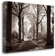 "Arcadia" By Ily Szilagyi, Giclee Print on Gallery Wrap Canvas, Ready to Hang