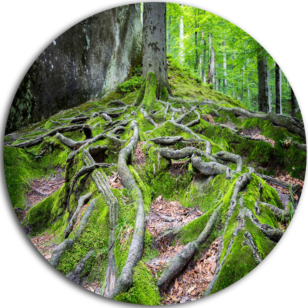 Deep Moss Forest In Ukraine, Landscape Round Wall Art, 23"