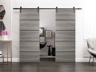 Sturdy Double Barn Door 64 x 84 with | Planum 0015 Ginger Ash with  | 13FT