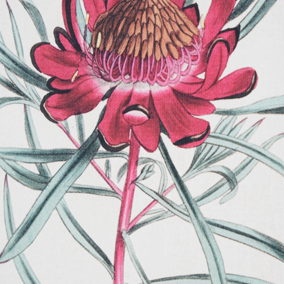 American Art Decor Red Dandelion Floral Canvas Wall Art Print - 11"x14"
