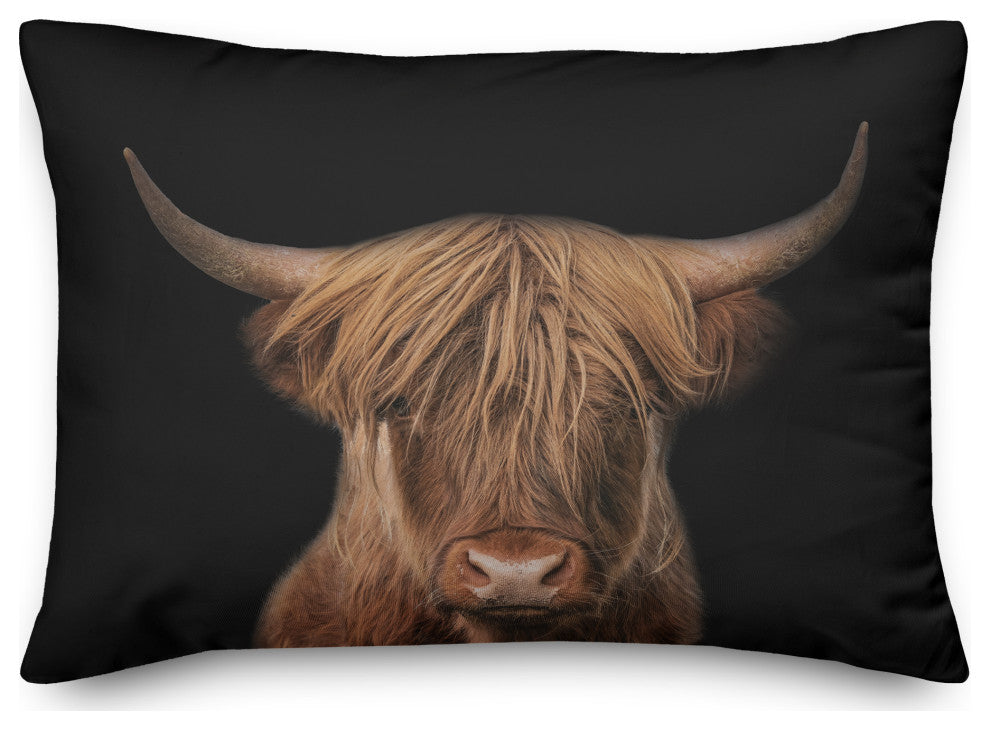 Moody Highland Cow 14"x20" Spun Poly Pillow