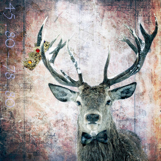 "Buck Prince" Art Print, 61x61 cm