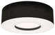 Montclair 30" Medium Base Flush Mount, Black Finish