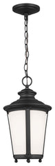 Cape May 1-Light Outdoor Pendant, Black