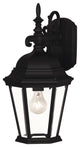 1-Light Outdoor Wall Lantern, Black