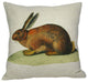 Brown Bunny Throw Pillow Case, With Insert