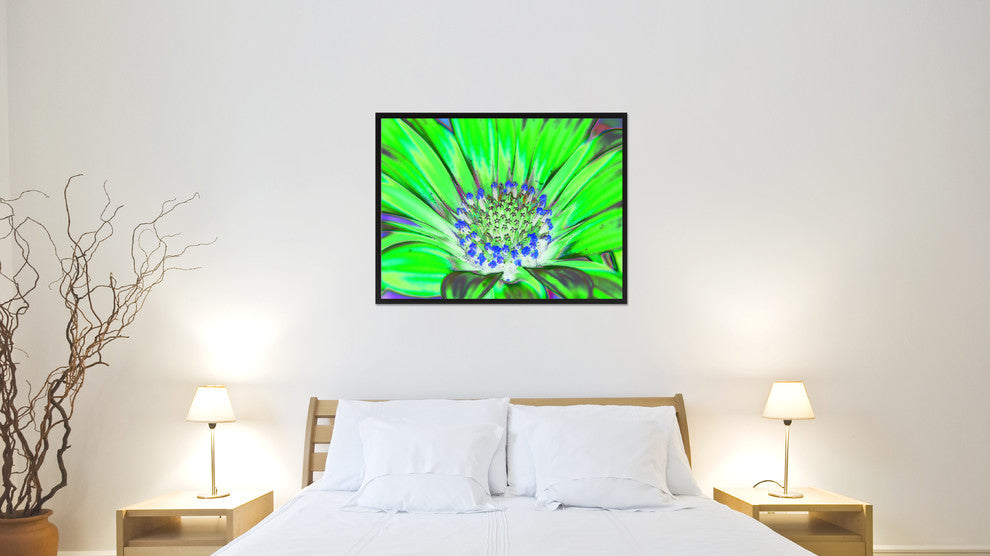 Green Gazania Flower Print on Canvas with Picture Frame, 22"x29"