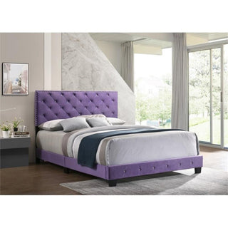 Glory Furniture Suffolk Velvet Upholstered Queen Bed in Purple
