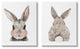 Adorable Bunny Cotton Tail Kid's Rabbit Blushing,24 x 30