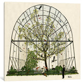 "The Aviary" by Norman Rockwell, Canvas Print, 26x26"