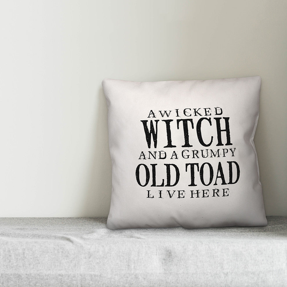 A Wicked Witch And Grumpy Toad 20"x20" Throw Pillow