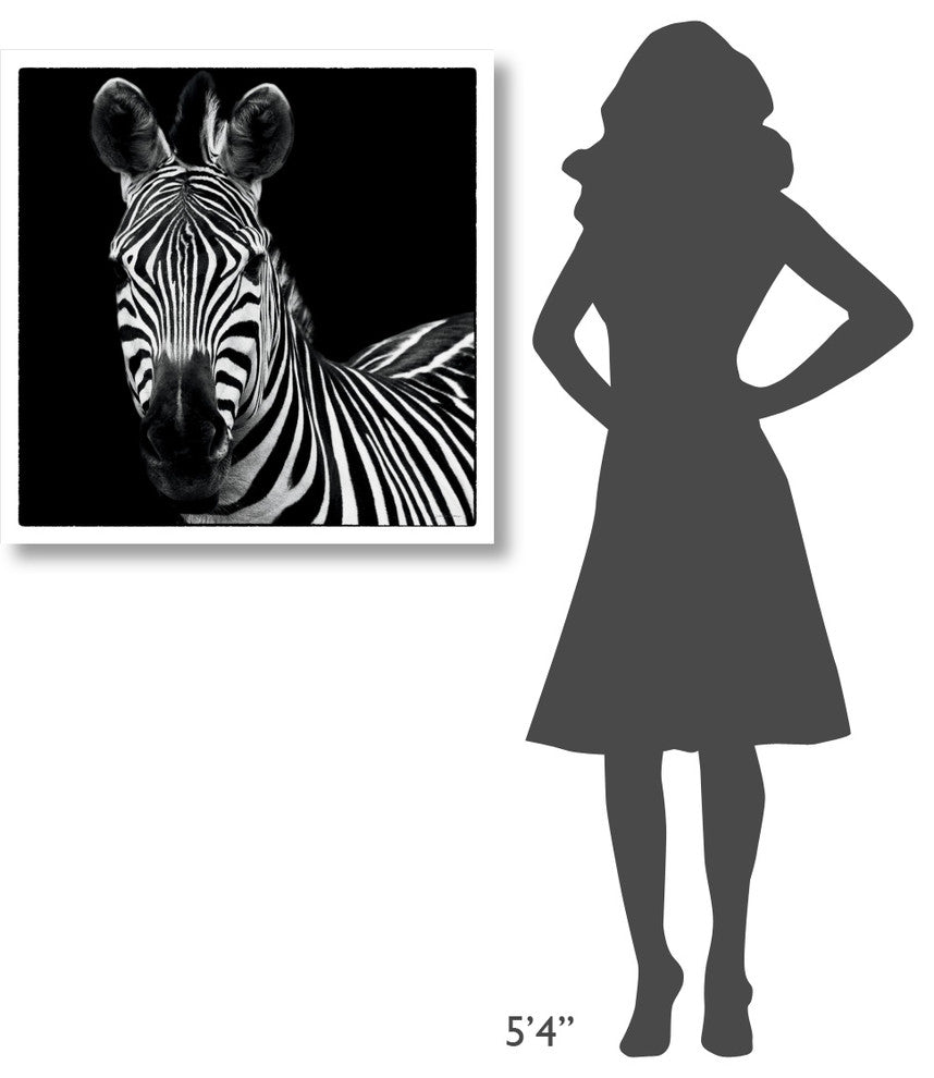 "Zebra II Square" Digital Paper Print by Debra Van Swearingen, 32"x32"