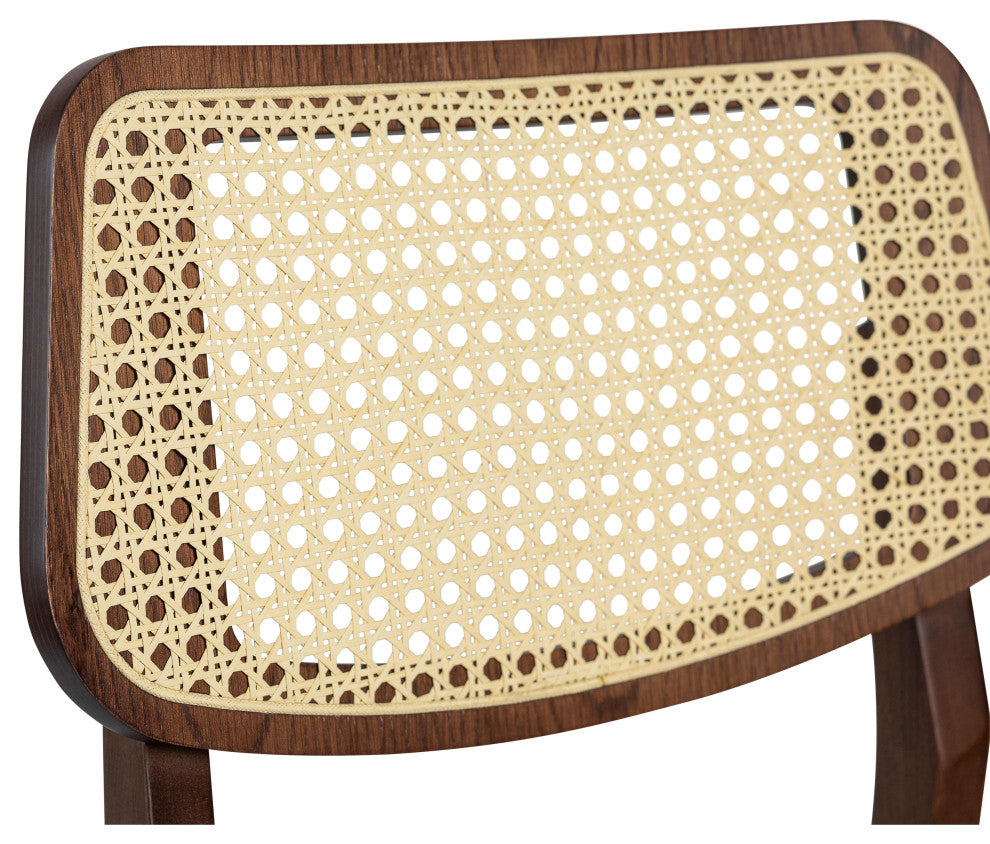 Modern Brazilian, Beth, Cane Side Chair, Nogal/Natural/Medley Ivory
