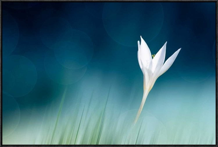 "Lonely" Framed Canvas Giclee by Doris Reindl, 37x25"