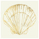 "Coastal Breeze Shell Sketches V" Digital Paper Print by Anne Tavoletti, 38"x38"