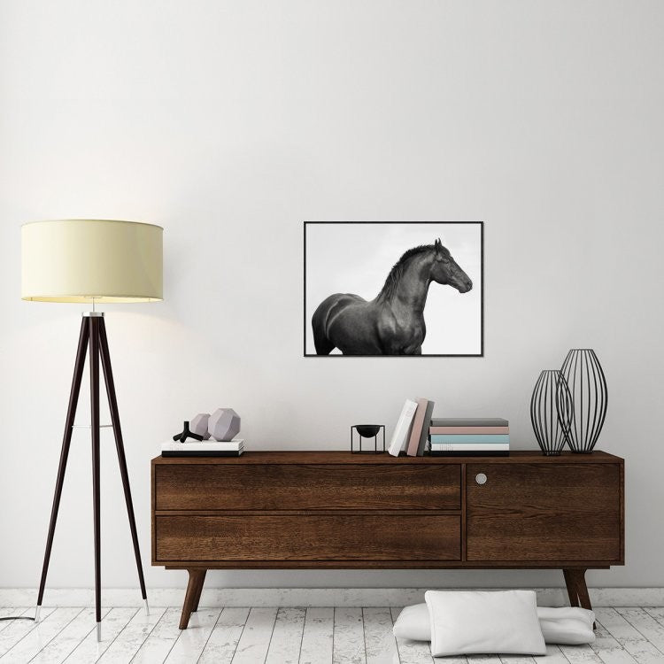 "King Mamba, Stallion" Framed Canvas Giclee by Pangea Images, 33x25"