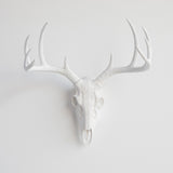 Faux White Mini Deer Skull With Natural Antlers Wall Decor, White, White