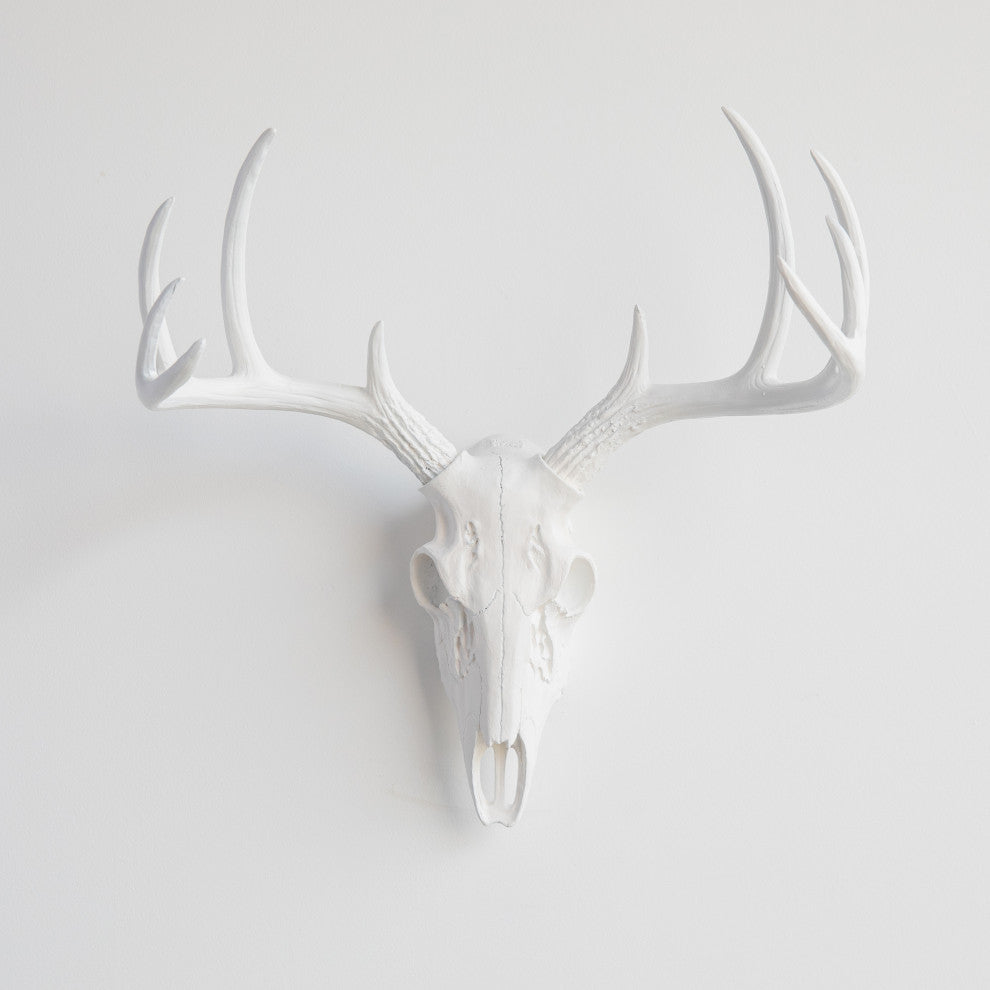 Faux White Mini Deer Skull With Natural Antlers Wall Decor, White, White